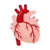 Free online courses on Cardiology