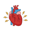 Free online courses on Cardiovascular Physiology
