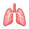 Free online courses on Respiratory Physiology
