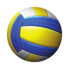 Free online courses on Volleyball